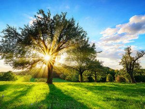 Karbonsuz ekonomi için ilk adım enerji verimliliğinden geçiyor