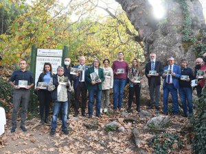 Antalya'nın 2022 Yılı takvim yüzü 2 bin yıllık ''Gedelma Çınarı''oldu