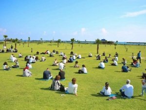 Caretta caretta yuvalarına ‘çim’ yapıldı