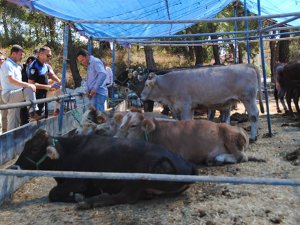 Kırmızı et zamları otellerin kırmızı et sunmasını zora soktu