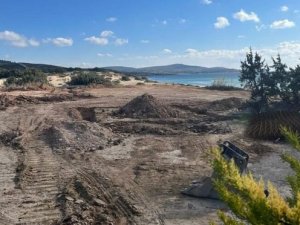 Altınkum Plajı'nda beach club için ağaçları kestiler