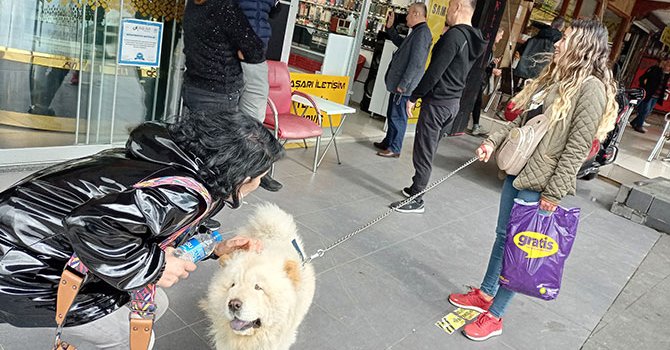 Günay'ın Ankara hayalleri