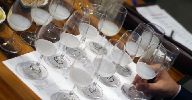 Gusto Rakı Günü, 12 Mart Cumartesi Levent’te kutlanacak