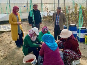 "Antalya ekonomisi " turizm" ve "tarım" oluşturuyor"