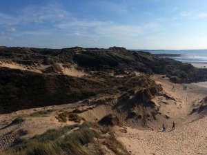 Zeytinliklerin ardından koruma alanları da ranta açılıyor