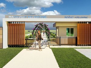 Caretta caretta yumurta bırakma alanları korumaya alındı