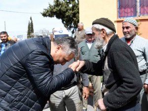 Belediye, yangınzede köylülere 7 bin zeytin fidanı dağıttı