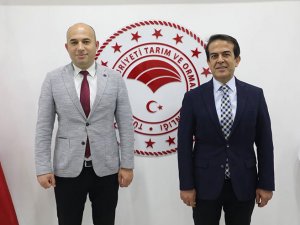 Ali Çandır:Antalya da çilek üretimi arttı