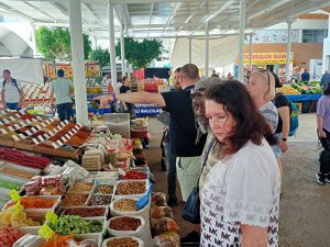 Hollandalı cazcı: Euro maaşımla geçinmek kolay