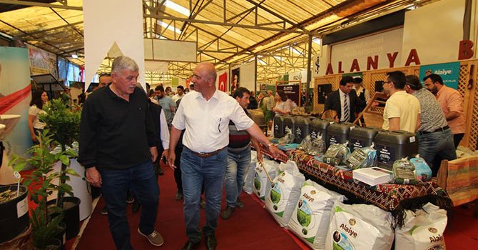 Muz lifi ve pamuk kumaşlar çanta, ayakkabı, kilime dönüşüyor