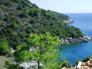 Bakan'ın şirketinden sit alanına 5 yıldızlı otel inşaatı başvurusu