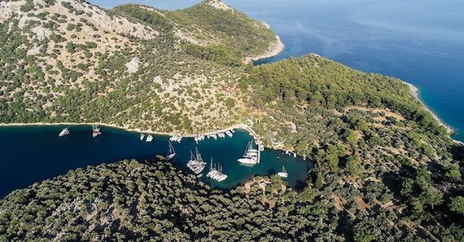 Ormanlar dahil kamu arazileri imar plansız turizme açıldı
