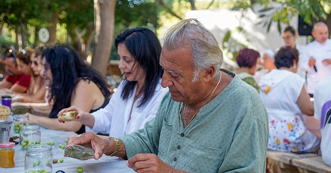 Bodrum’un zeytin hasadı Hapimag Sea Garden’da başladı