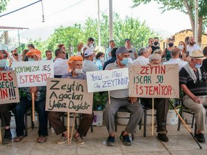 Seferihisar Orhanlı halkının jeotermale karşı zaferi