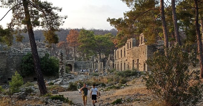 Yavru carettaların yolculuğu