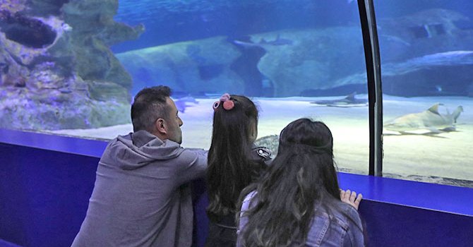 Expo Real Münih'te açıldı