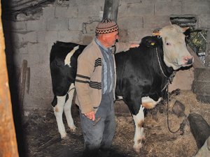 Dökme su ile değirmen dönmez; ithal etle Adana şiş kebap olmaz!