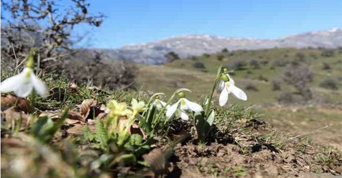 Hastalıktan kaçılan köy turizmde