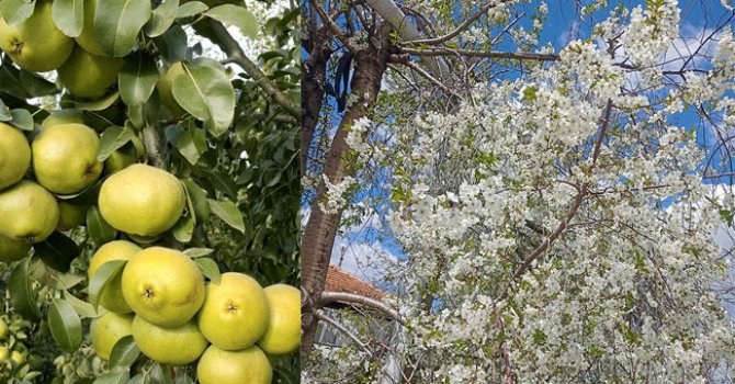 TÜSİD başkanı Uğur Atalay