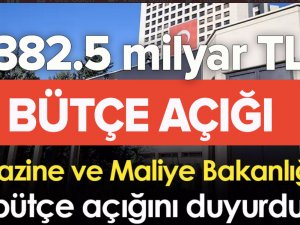 Hazine ve Maliye Bakanlığı: Bütçe açığı 382,5 milyar