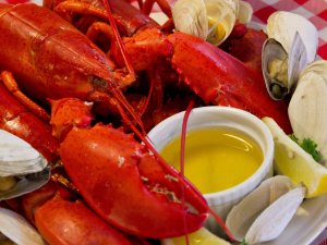 Deniz lezzetleri Ocean Garden'da sanata dönüşüyor