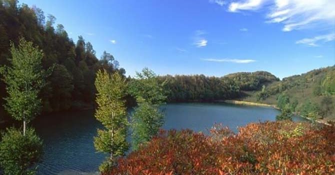 TGC Burhan Felek ödülleri verildi