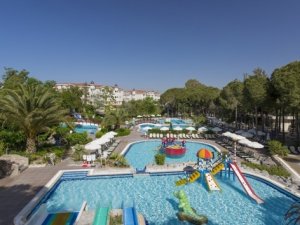 Mudurnu Tavukçuluk, yeniden