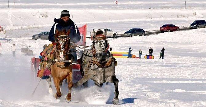 Buzla kaplı Çıldır Gölü'nde atlı kızakla gezinti keyfi