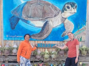 Sahiller deniz kaplumbağaları için temizlendi