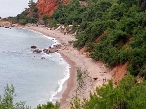 Madam Martha koyu kiralanıyor!