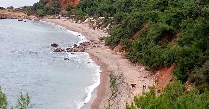 Madam Martha koyu kiralanıyor!