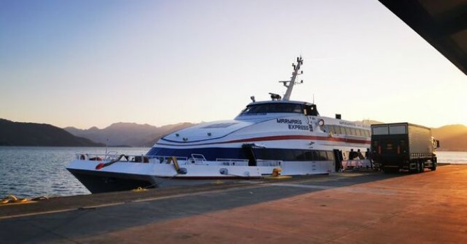 Turmepa: Balıklar tükeniyor