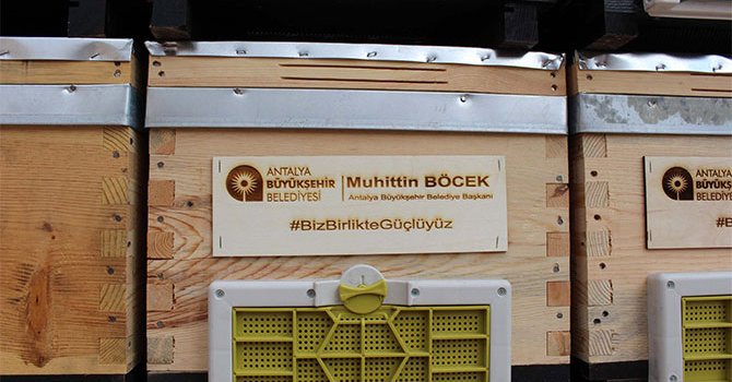 JAZZ Hotel 365 gün konser