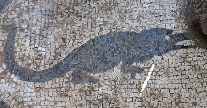 Roma Hamamında Timsahlı Mozaik Ortaya Çıkarıldı