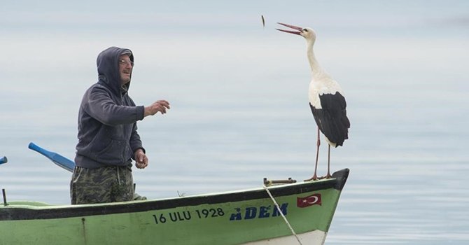 Yaren leylek için gözleri hem ufukta hem yuvada...