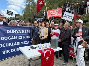 ÇED raporu olmadan orman alanına taşocağı ruhsatı verildi