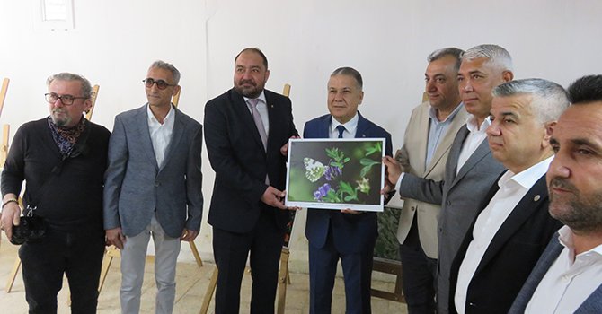 Kelebekler Festivali”nde rüzgar esti kelebekler saklandı