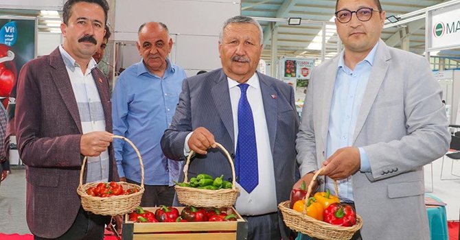 Kaş'ın en büyük zenginliği arkeolojik varlıklarımız!