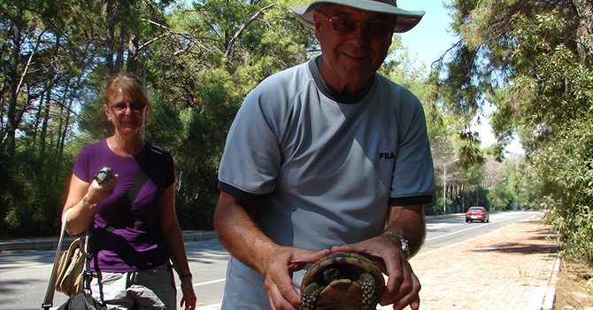 Ormanlarda ateşli piknik yapımı yasaklandı