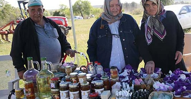 Edirne'de Apiturizm ile Doğal Turizm Canlanıyor