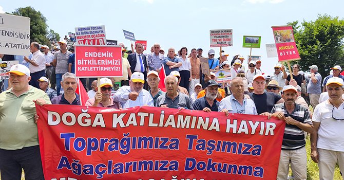 SunExpress yeni şirket kuruyor