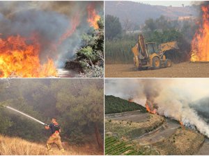 1351’i ormanlık alanda toplam 3 bin 181 yangın çıktı