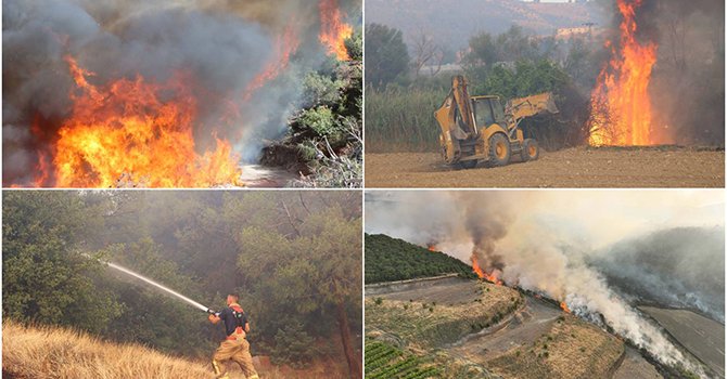 1351’i ormanlık alanda toplam 3 bin 181 yangın çıktı