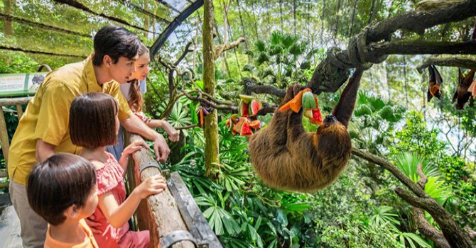 Singapore Airlines ve Mandai Wildlife yaban hayat için buluştu