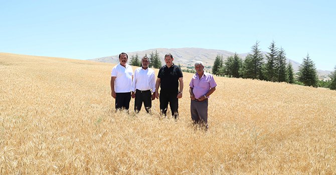 Antalya'da oteller yerli üretim buğday unu kullanıyor