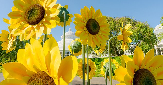 Van Gogh’un renkleri gastronomi ile buluşuyor