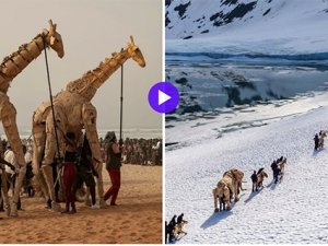 Hayvan kuklaları 20.000 km'lik yolu tamamladı