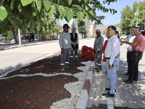 Peyzaj ile Elmalı yayla turizminde cazibe merkezi oldu