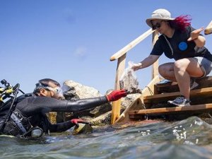 Urla'da 5.300 yıl öncesine ait kalıntılara ulaşıldı