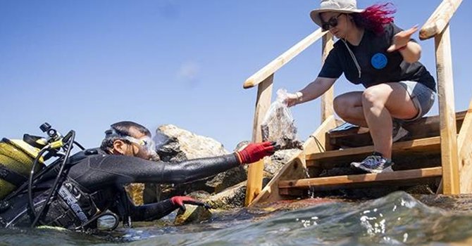 Urla'da 5.300 yıl öncesine ait kalıntılara ulaşıldı